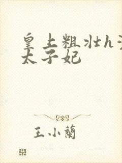 皇上粗壮h灌满太子妃封面