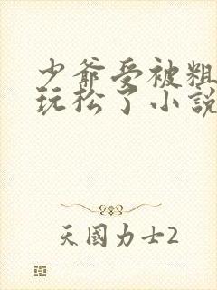 少爷受被粗汉H玩松了小说