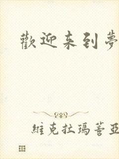 欢迎来到梦乐园