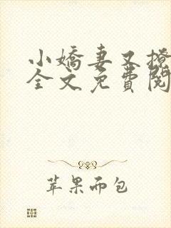 小娇妻又撩又甜全文免费阅读