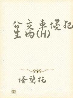 公交车侵犯小男生肉(H)