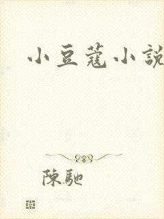小豆蔻小说封面