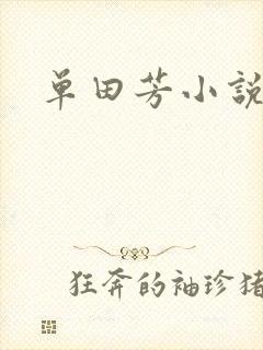 单田芳小说