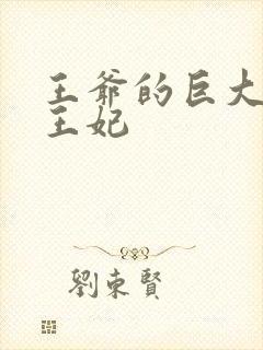 王爷的巨大进入王妃