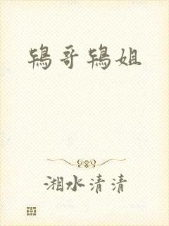 鸨哥鸨姐