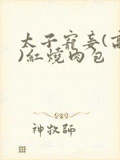 太子宠妾(高肉)红烧肉包