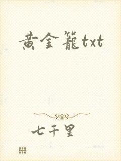 黄金笼txt