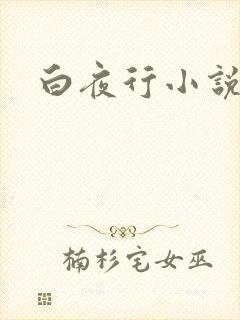 白夜行小说下载