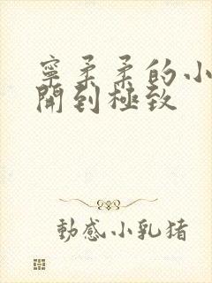 宁柔柔的小泬撑开到极致封面