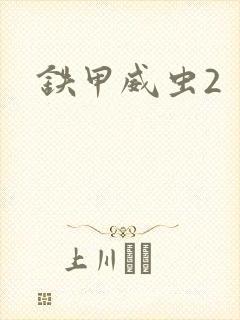 《铁甲威虫2》小说封面