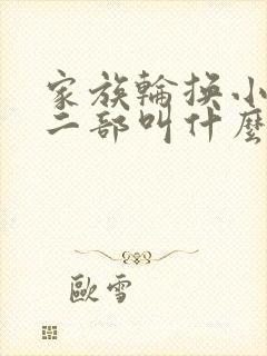 家族轮换小说第二部叫什么名字