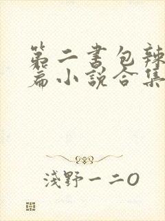 第二书包辣网短篇小说合集