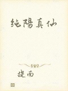 纯阳真仙