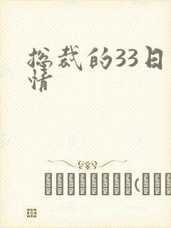 总裁的33日索情