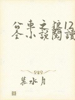 公车之狼12集全小说阅读