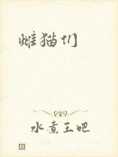 雌猫们
