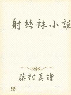 射丝袜小说封面