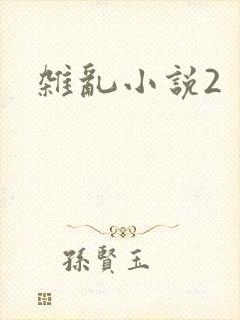 杂乱小说2