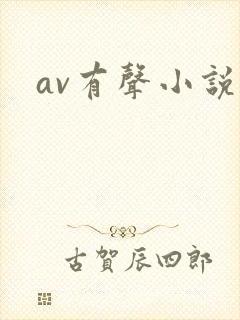 av有声小说