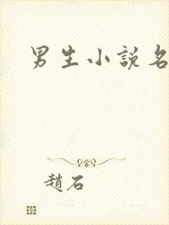 男生小说名字