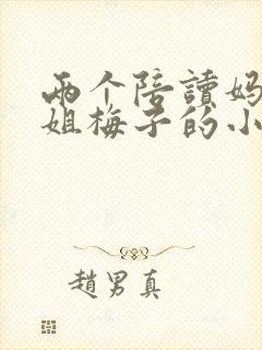 两个陪读妈妈赵姐梅子的小说