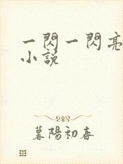 一闪一闪亮星星小说