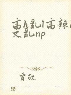高h乱l高辣h文乱np