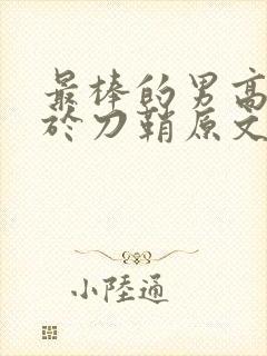 最棒的男高中生于刀鞘原文阅读