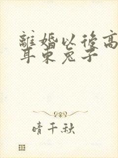 离婚以后高干 耳东兔子