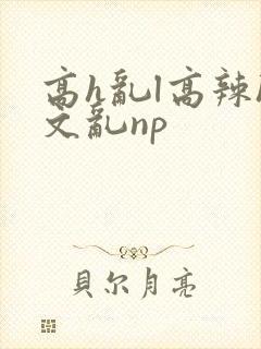 高h乱l高辣h文乱np