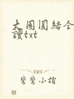 大团圆结全文阅读txt