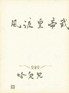 风流皇帝武则天封面
