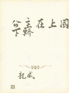 公主在上国师请下轿