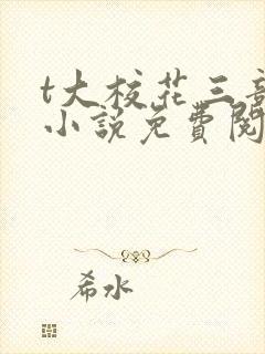 t大校花三部曲小说免费阅读全文