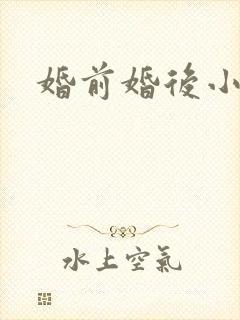 婚前婚后小说