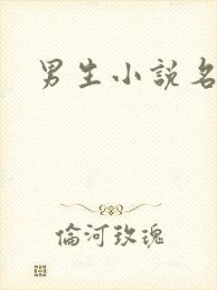男生小说名字
