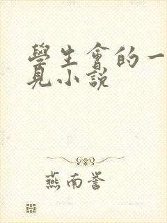 学生会的一己之见小说