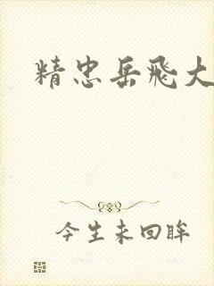 精忠岳飞大结局