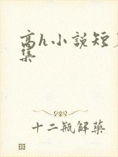 高h小说短篇合集