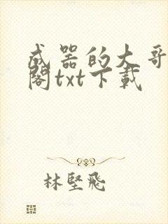 成器的大哥笔趣阁txt下载