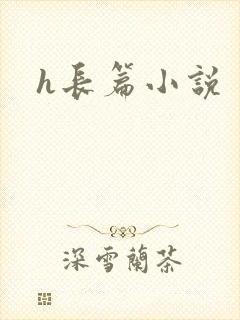 h长篇小说