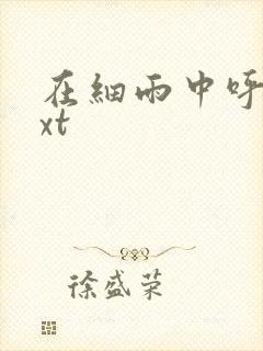 在细雨中呼喊txt