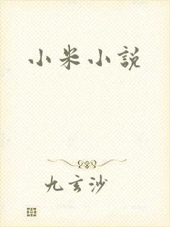 小米小说