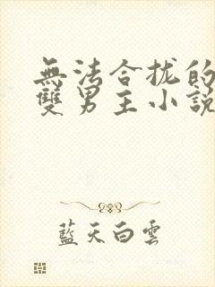 无法合拢的总裁双男主小说