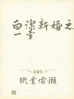 白洁新婚之夜第一章