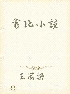 靠比小说