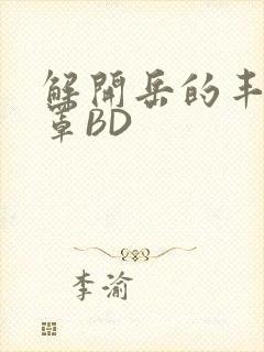 解开岳的丰满奶罩BD