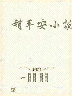 赵平安小说主角