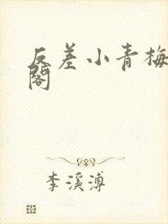 反差小青梅笔趣阁