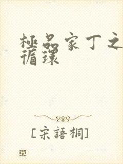 极品家丁之因果循环